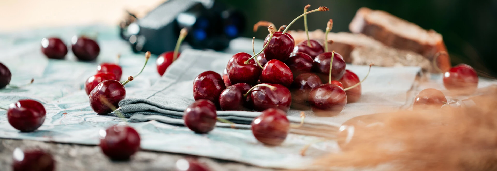 Cerises du Ventoux  © O'Brien 