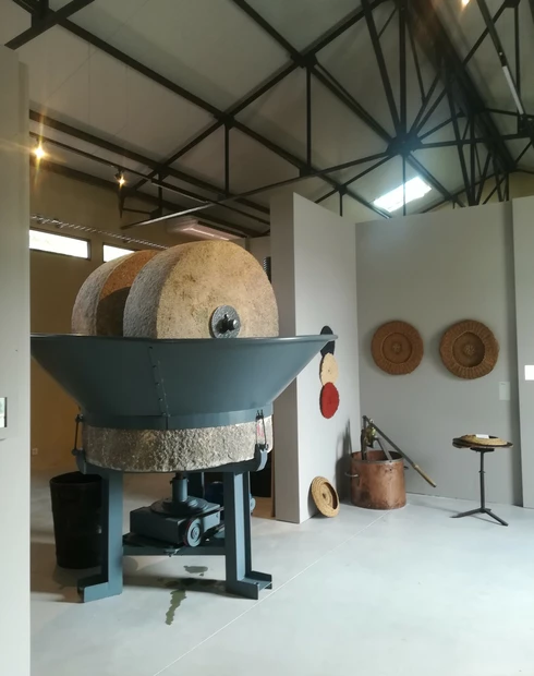 Musée de l'huile d'olive - domaine de la Royère  © Hocquel