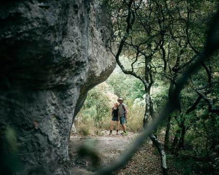 Randonneurs en forêt  © O'Brien