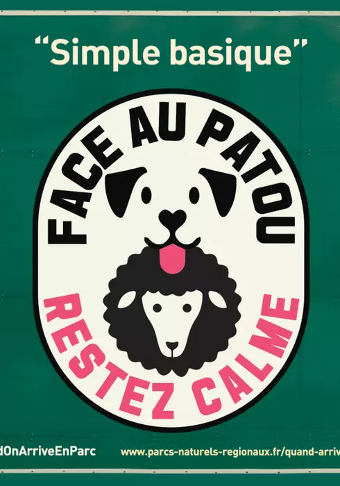 Livret sensibilisation chien bergers