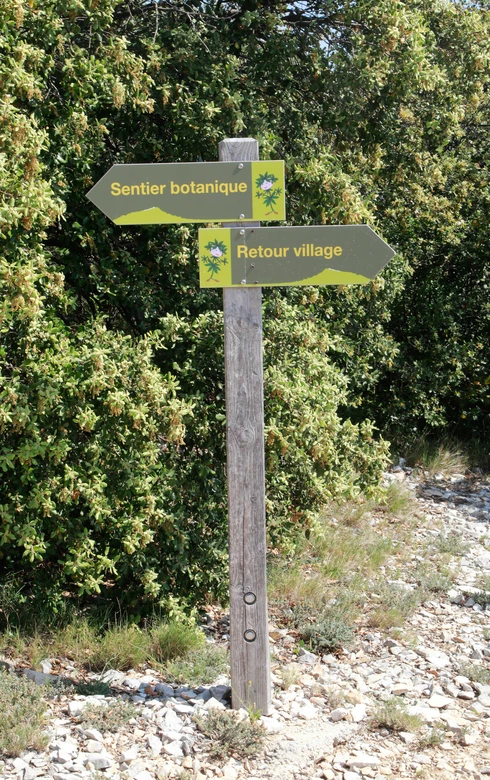 Sentier botanique sur l'itinéraire du sentier de la Garance près d'Avignon  © Hocquel