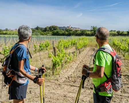 Randonnée à Châteauneuf-du-Pape  © Planque