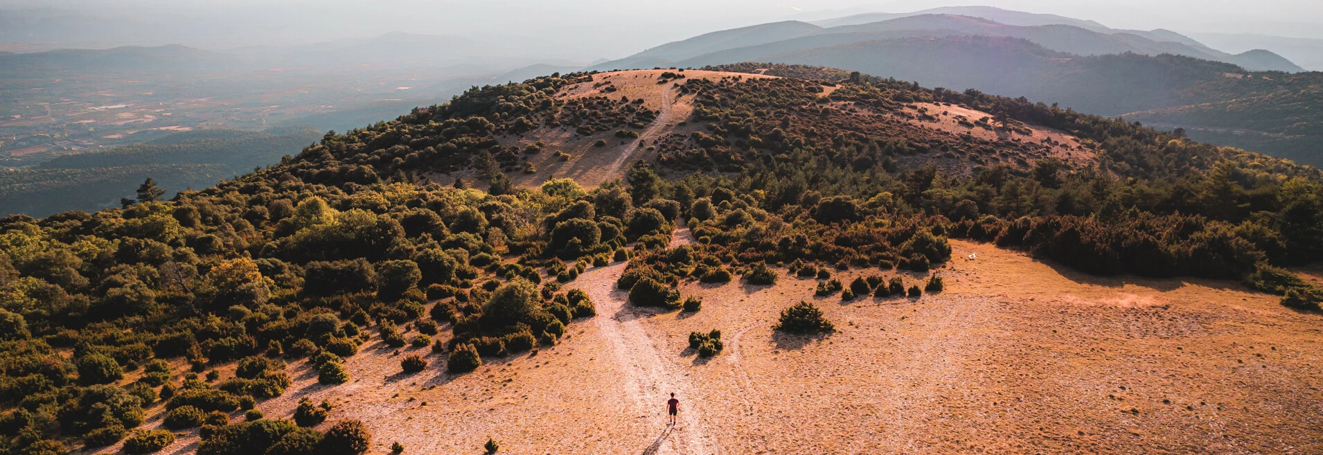 Mourre Nègre dans le parc naturel régional du Luberon  © LezBroz