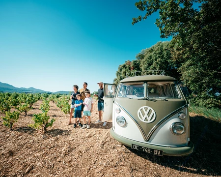 Visite dans les vignes de la Vallée du Rhône  © O'Brien