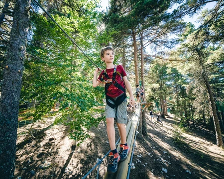 Parcours forestier en Vaucluse  © O'Brien