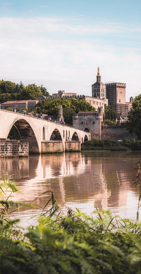 Pont d'Avignon et Palais des Papes  © LezBroz