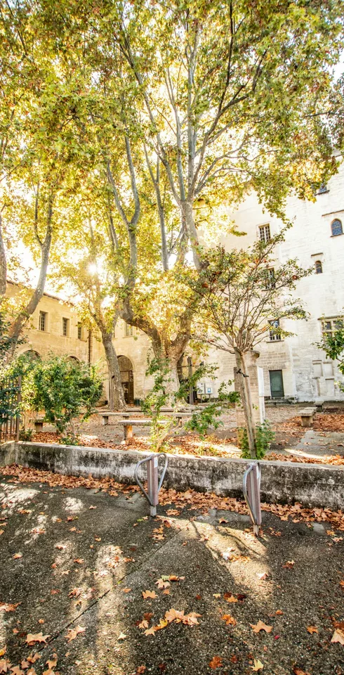 Jardin de la médiathèque Ceccano, ancienne livrée cardinalice  © De beaux lents demains