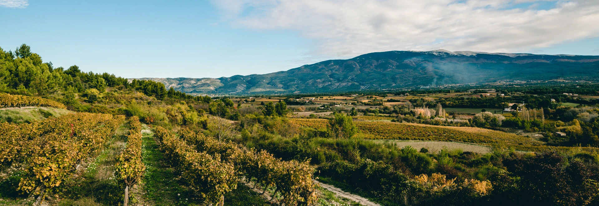 Sommet du Mont Ventoux   © LezBroz