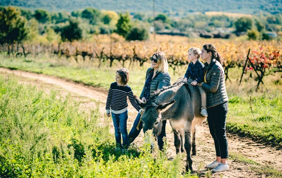 Balade avec les ânes  © O'Brien