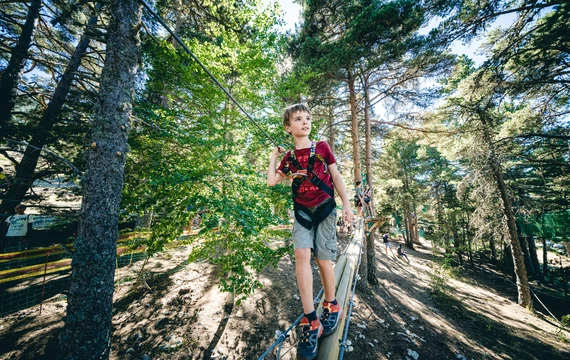 Parcours forestier en Vaucluse  © O'Brien