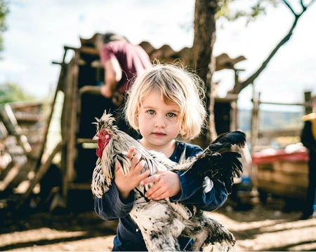 Jeune enfant portant une poule  © O'Brien