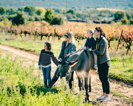 Balade avec les ânes  © O'Brien